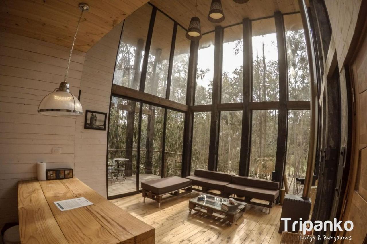 Tripanko Lodge & Bungalows Pichilemu Esterno foto