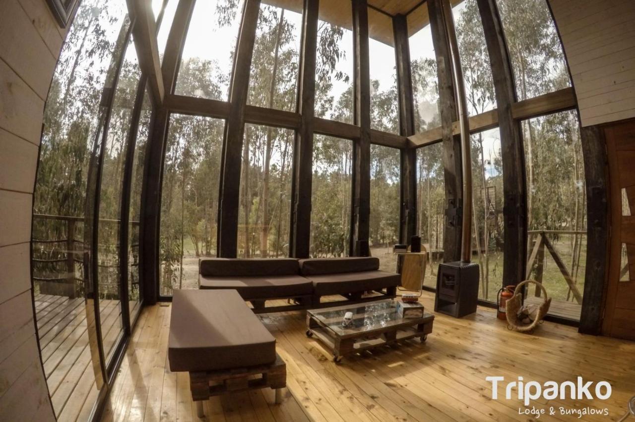 Tripanko Lodge & Bungalows Pichilemu Esterno foto