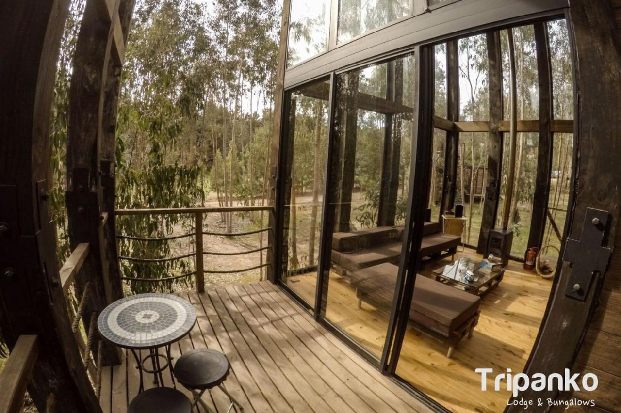Tripanko Lodge & Bungalows Pichilemu Esterno foto