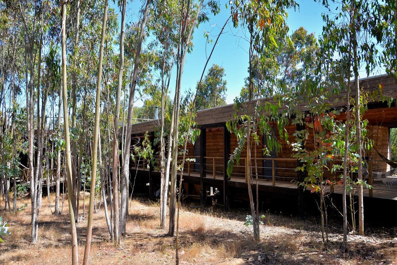 Tripanko Lodge & Bungalows Pichilemu Esterno foto