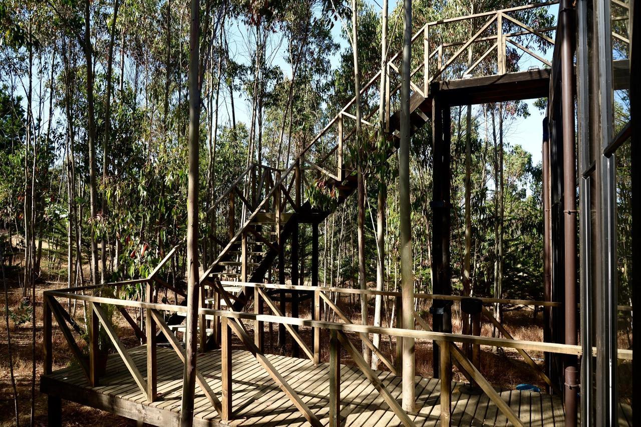 Tripanko Lodge & Bungalows Pichilemu Esterno foto