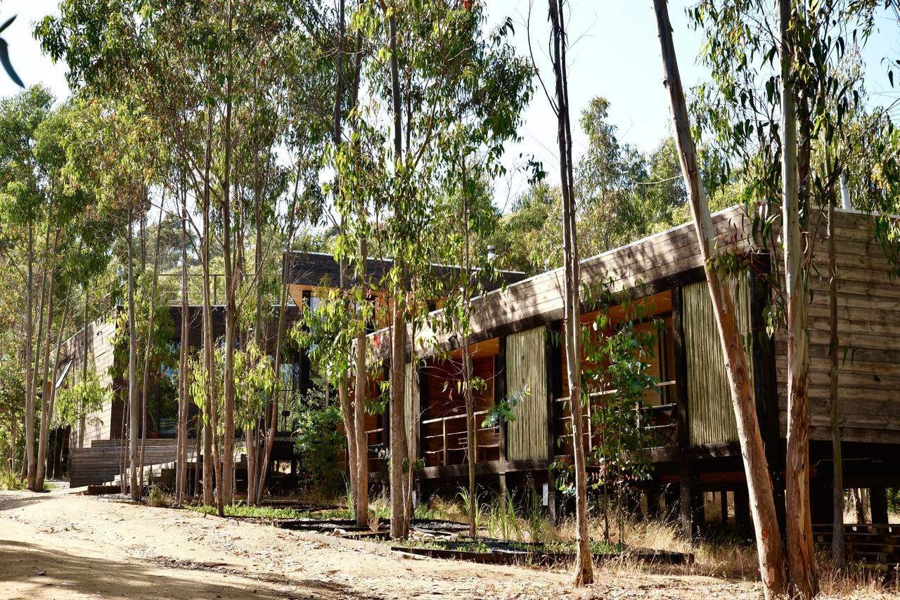 Tripanko Lodge & Bungalows Pichilemu Esterno foto