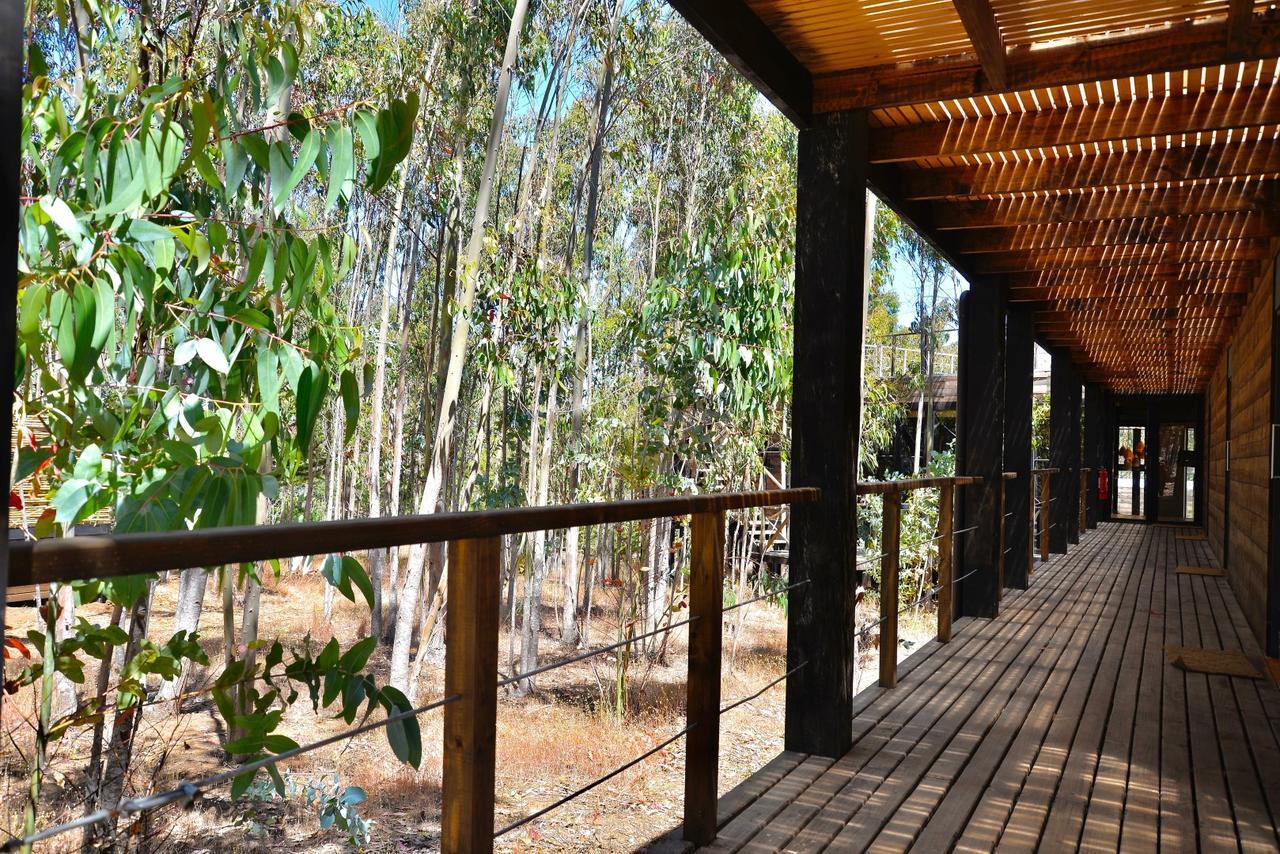 Tripanko Lodge & Bungalows Pichilemu Esterno foto
