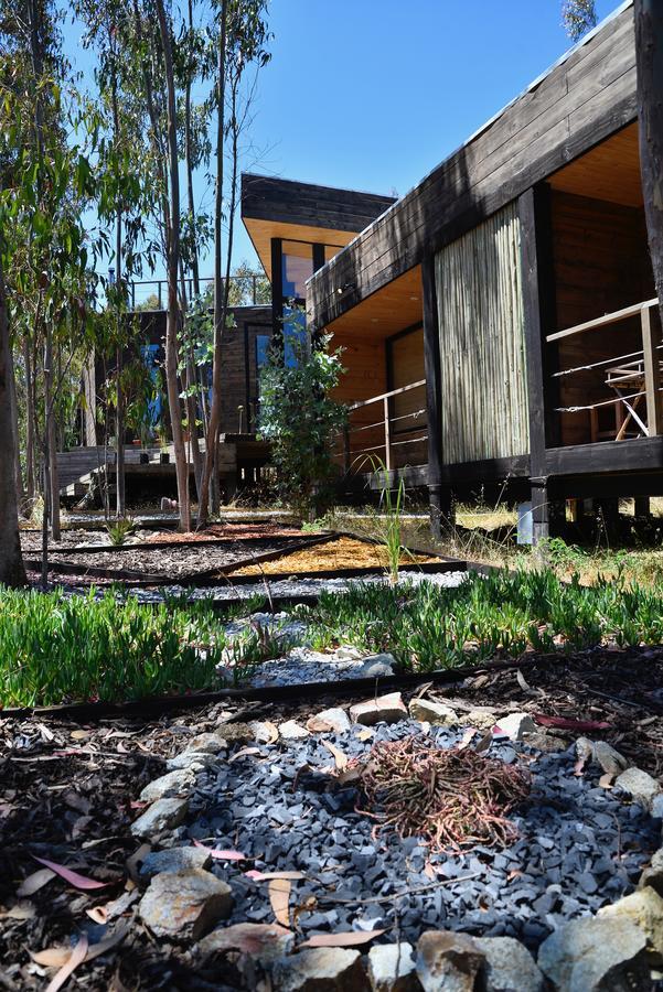 Tripanko Lodge & Bungalows Pichilemu Esterno foto
